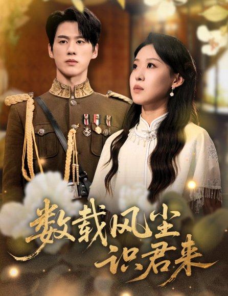《数载风尘识君来》短剧封面