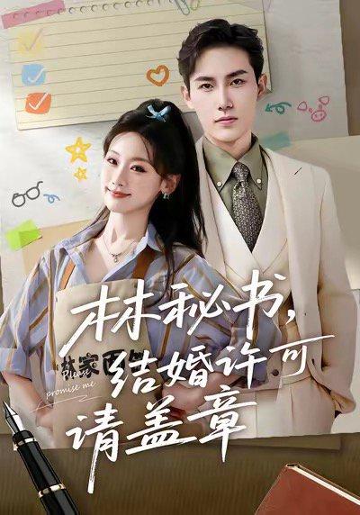 《林秘书，结婚许可请盖章》短剧封面