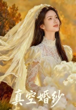 《真空婚纱(36集)(夸克网盘)》短剧封面