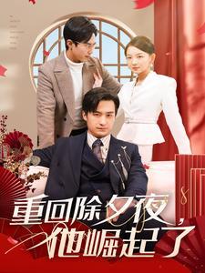 《重回除夕夜他崛起了（89集）（夸克网盘）》短剧封面