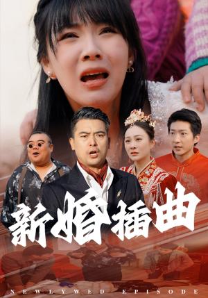 《新婚插曲（29集）（夸克网盘）》短剧封面