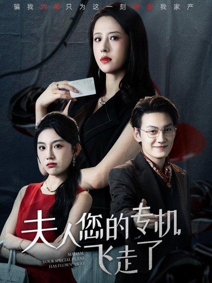 《夫人您的专机飞走了(62集)王婧琦&陈泓龙》短剧封面