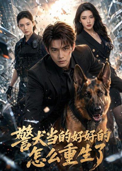 《警犬当的好好的,怎么重生了(61集)(百度网盘)》短剧封面