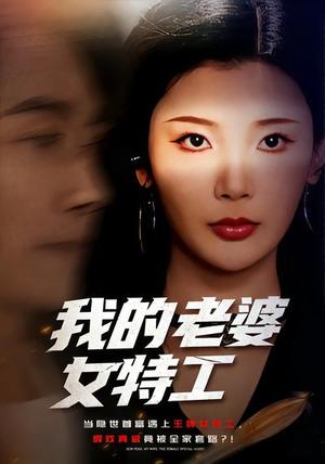 《我的老婆女特工(62集)王星辰&王振(夸克网盘)》短剧封面