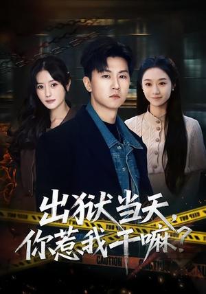 《出狱当天,你惹我干嘛?&出狱当天你惹我干嘛(62集)王鹏&郑皓月(夸克网盘)》短剧封面