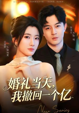 《婚礼当天,我撤回一个亿(51集)宗妍初&贺龙天(夸克网盘)》短剧封面