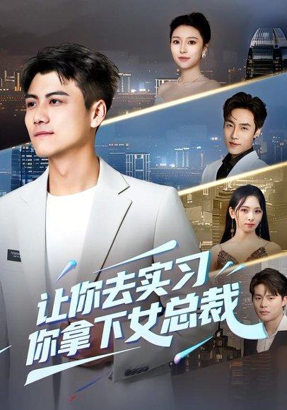 《让你去实习,你拿下女总裁(70集)金瑶&王锐(百度网盘)》短剧封面