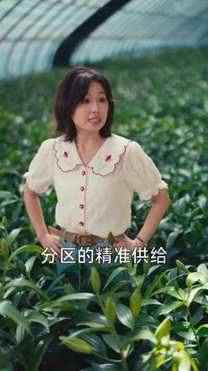 《花田喜事（61集）王浩翔＆曲笑孝（1080P）（夸克网盘）》短剧封面