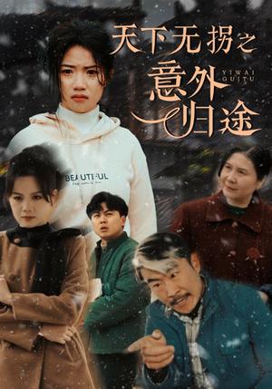 《天下无拐之意外归途（61集）高洁慧（夸克网盘）》短剧封面