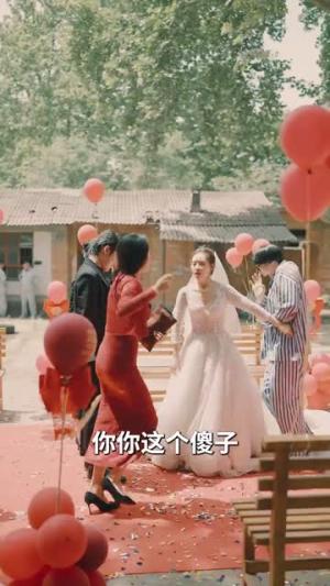《终会遇见你（66集）（夸克网盘）》短剧封面