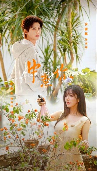 《中意你(72集)何健麒&赵奕欢(百度网盘)》短剧封面