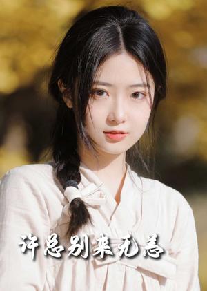 《许总别来无恙（50集）邢航铭（夸克网盘）》短剧封面