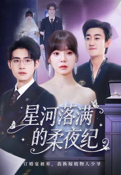 《星河落满的柔夜纪（88集）邹梓豪＆王一晴（百度网盘）》短剧封面