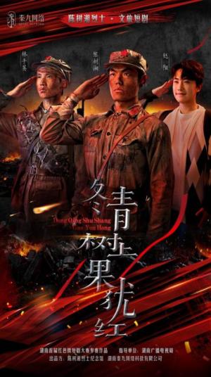 《冬青树上果犹红(9集)张懋&夏天琪(夸克网盘)》短剧封面
