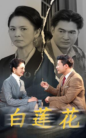 《白莲花（40集）（夸克网盘）》短剧封面