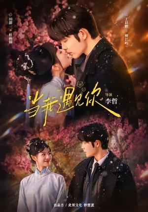 《当我遇见你(70集)王晨鹏&田甜一(1080P)(夸克网盘)》短剧封面