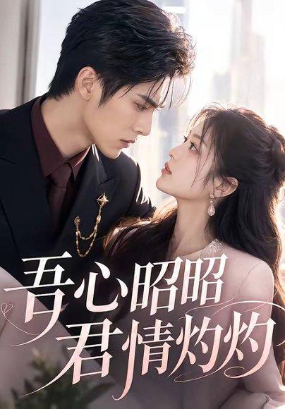 《吾心昭昭,君情灼灼(60集)(百度网盘)》短剧封面