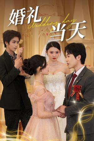 《婚礼当天(30集)(夸克网盘)》短剧封面