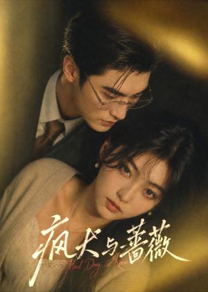 《疯犬与蔷薇(50集)未删减(夸克网盘)》短剧封面