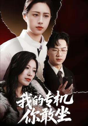 《我的专机你敢坐(62集)王婧琦&周家洪(夸克网盘)》短剧封面