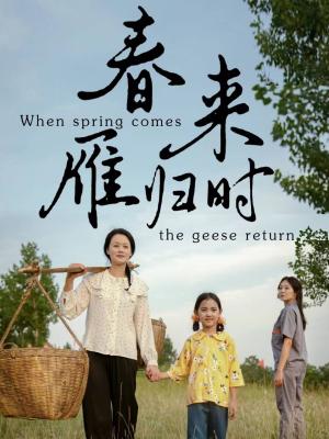 《春来雁归时(61集)(夸克网盘)》短剧封面