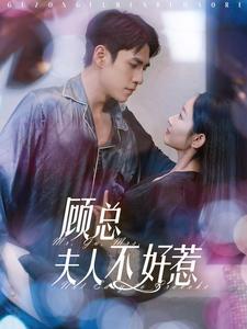 《顾总夫人不好惹(80集)张添景&孟嘉鑫(夸克网盘)》短剧封面