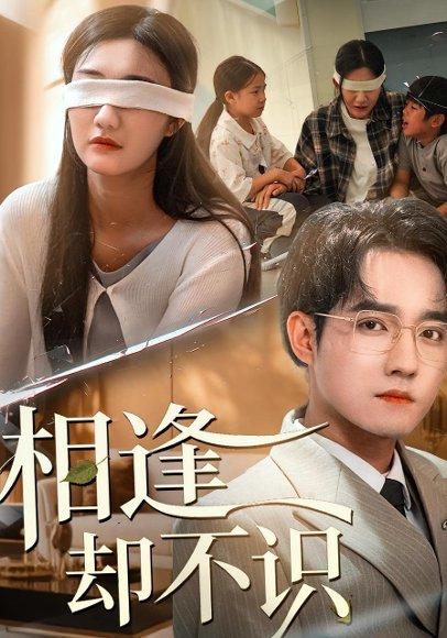 《相逢却不识（77集）》短剧封面