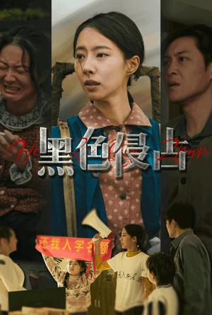 《黑色侵占(35集)苏嘉欣(夸克网盘)》短剧封面