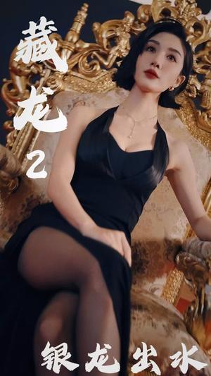 《藏龙2银龙出水(35集)(夸克网盘)》短剧封面