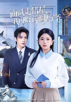 《面试走错屋,我闪婚了京圈太子爷(80集)钱镇基&田婷婷(夸克网盘)》短剧封面