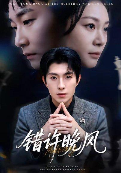 《错许晚风(60集)李兼任&宋雯娟(百度网盘)》短剧封面