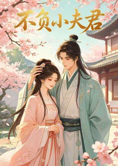 《不负小夫君(41集)(百度网盘)》短剧封面