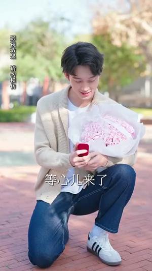 《风华尽敛为谁藏（60集）（夸克网盘）》短剧封面
