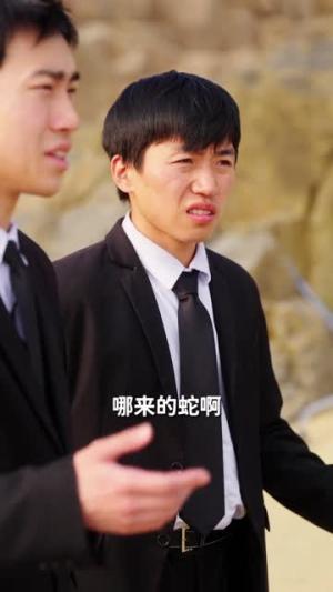 《重生成蛇我气哭富二代(66集)何索&梁三恩(夸克网盘)》短剧封面
