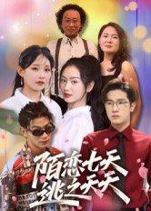 《陌恋七天:逃之夭夭(33集)陈梓龙(百度网盘)》短剧封面