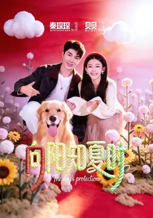 《向阳知夏时(80集)秦琛琛&贝贝(夸克网盘)》短剧封面