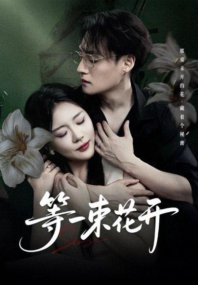 《等一束花开(71集)安敏&强宇》短剧封面