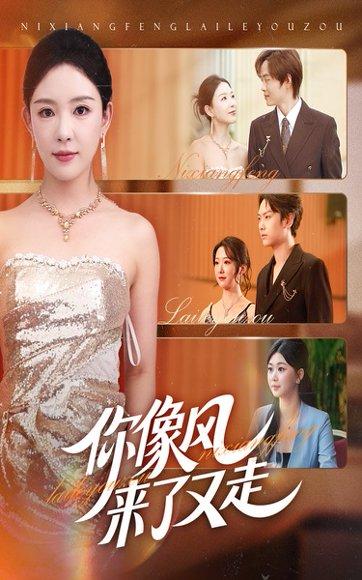 《你像风来了又走》短剧封面