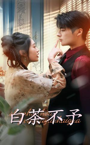 《白茶不予（68集）潘欣懿&段美洋（夸克网盘）》短剧封面