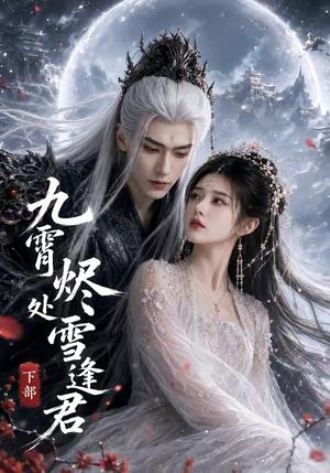 《九霄烬处雪逢君下部(43集)(夸克网盘)》短剧封面