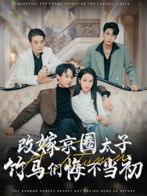 《改嫁京圈太子竹马们悔不当初(30集)黄子淇&王蔼玲(夸克网盘)》短剧封面