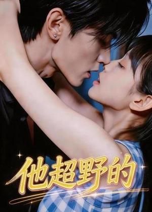 《他超野的（22集）（夸克网盘）》短剧封面