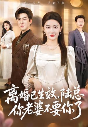 《离婚已生效，陆总你老婆不要你了（61集）赵阿东＆沈玥妡（夸克网盘）》短剧封面