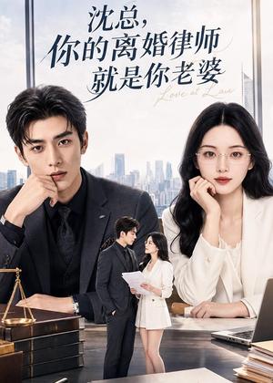 《沈总,你的离婚律师就是你老婆(114集)(夸克网盘)》短剧封面
