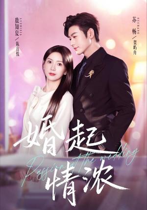 《婚起情浓(99集)苏畅&鹿知夏(1080P)(夸克网盘)》短剧封面
