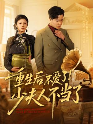 《重生后不爱了少夫人不当了(66集)翟兆星&刘盈(夸克网盘)》短剧封面
