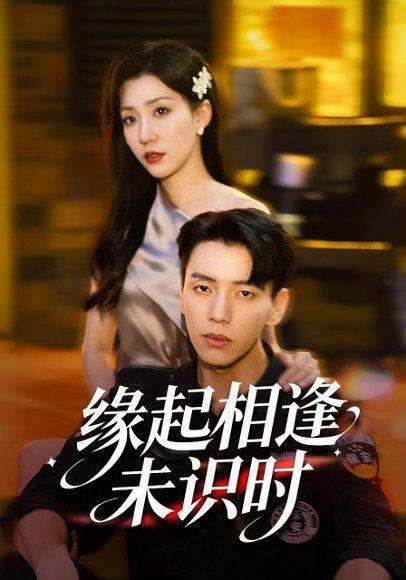 《缘起相逢未识时(57集)》短剧封面