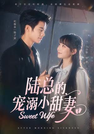 《陆总的宠溺小甜妻(61集)纪俊良&吕丹妮(夸克网盘)》短剧封面