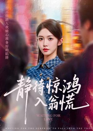 《静待惊鸿入翁慌(40集)陈雷雷&吴毅非》短剧封面