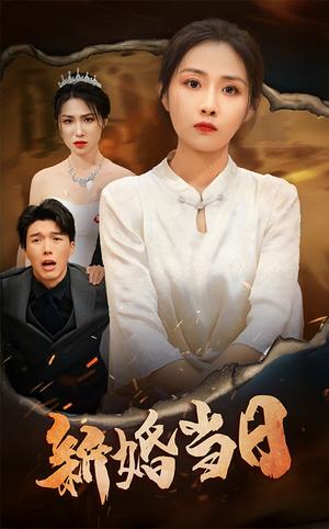 《新婚当日（38集）（夸克网盘）》短剧封面